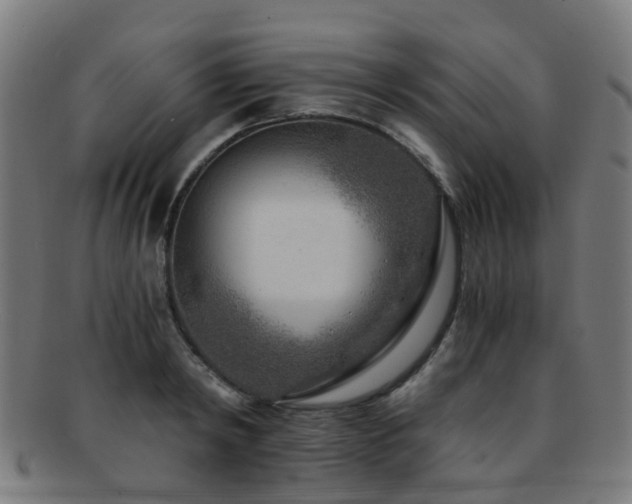 X0000091900798200709051402