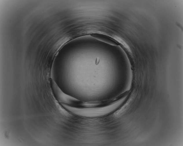X0000091900801200709051402