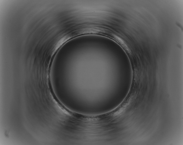 X0000091900802200709051402