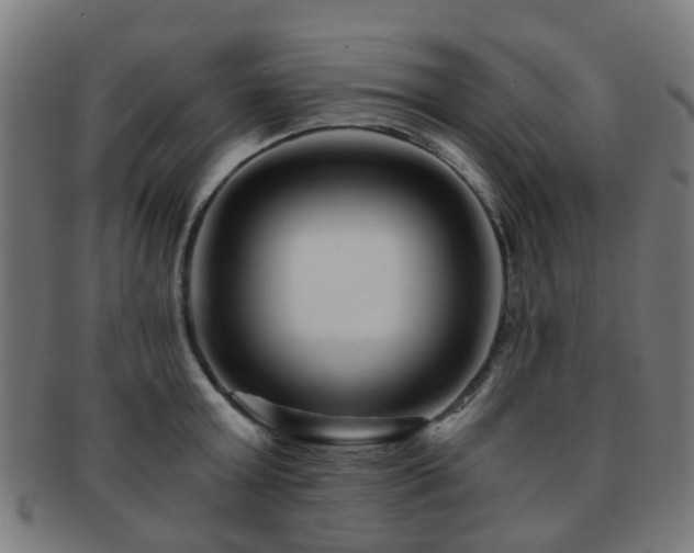 X0000091900803200709051402