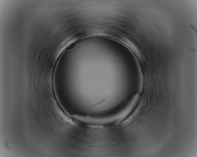 X0000091900806200709051402