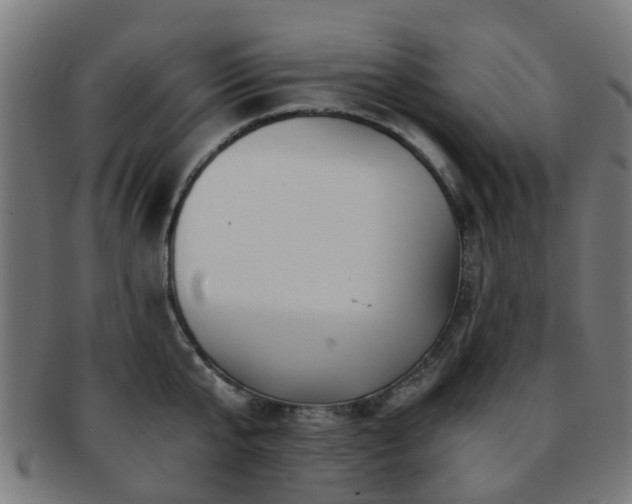 X0000091900807200709051402