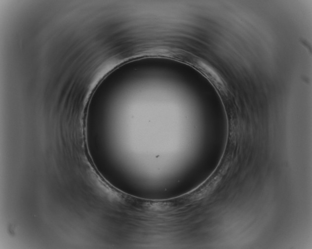 X0000091900808200709051402
