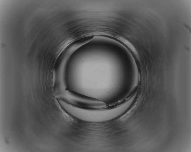 X0000091900809200709051402