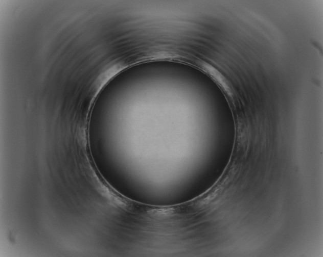 X0000091900810200709051402