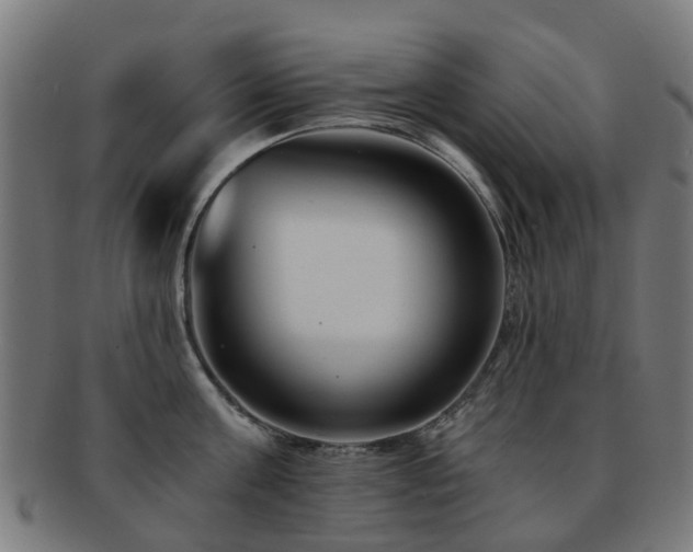 X0000091900811200709051402