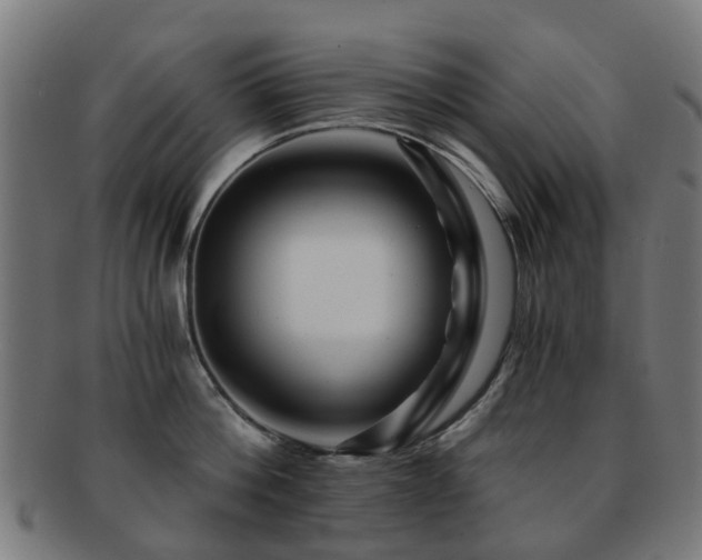 X0000091900812200709051402