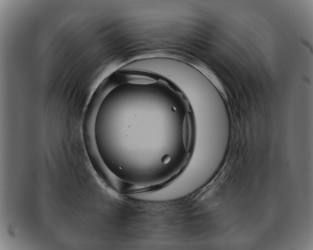 X0000091900813200709051402