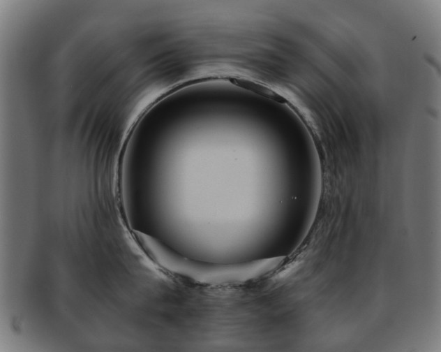 X0000091900815200709051402