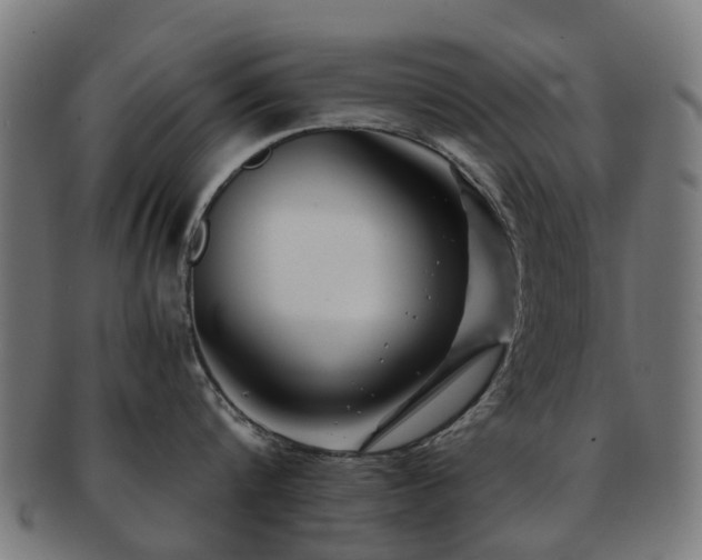 X0000091900816200709051402