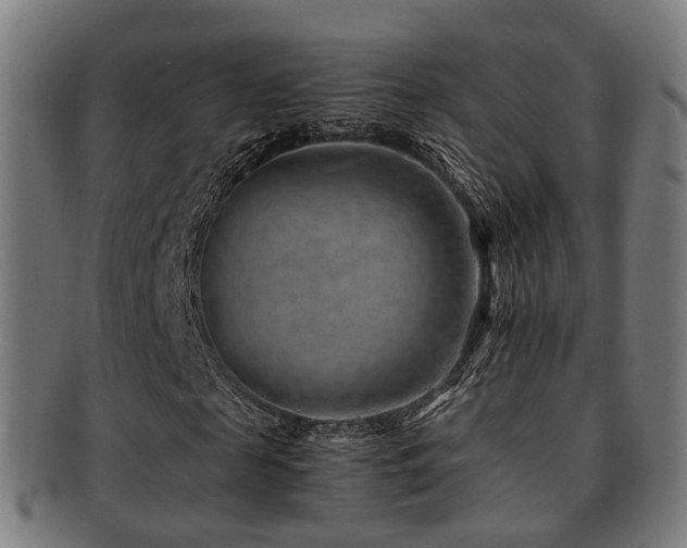 X0000091900817200709051401