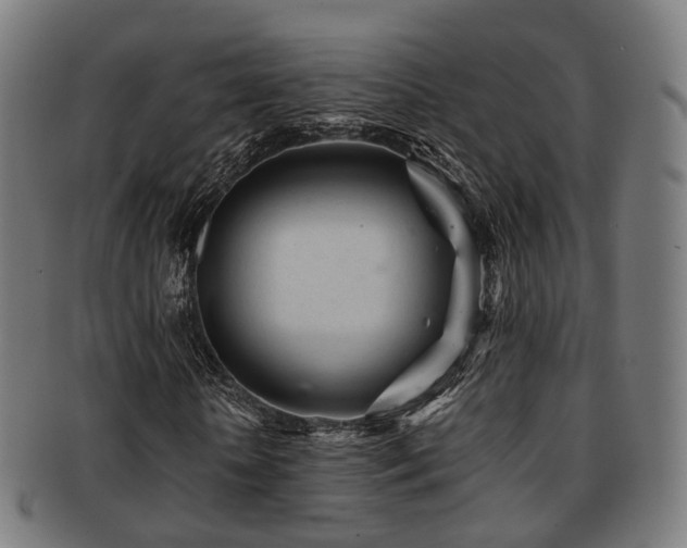 X0000091900818200709051401
