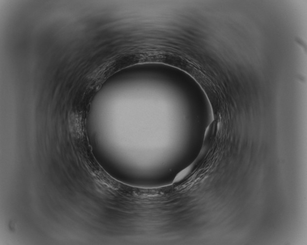 X0000091900819200709051401