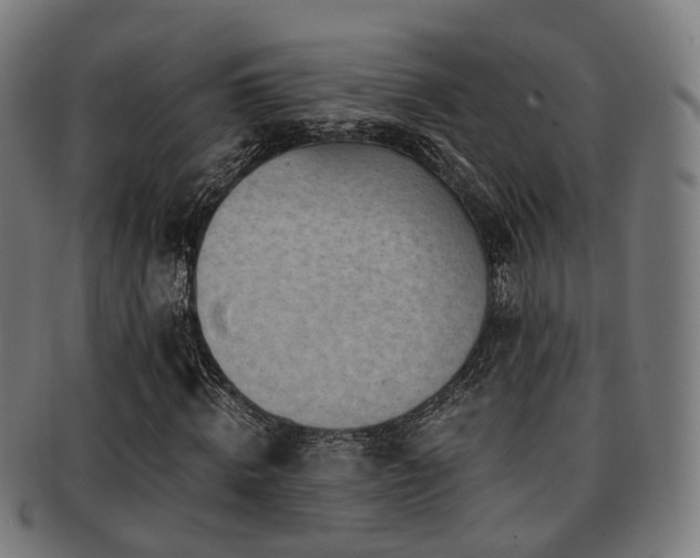 X0000091900820200709051401