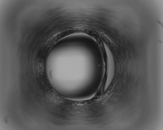 X0000091900821200709051401