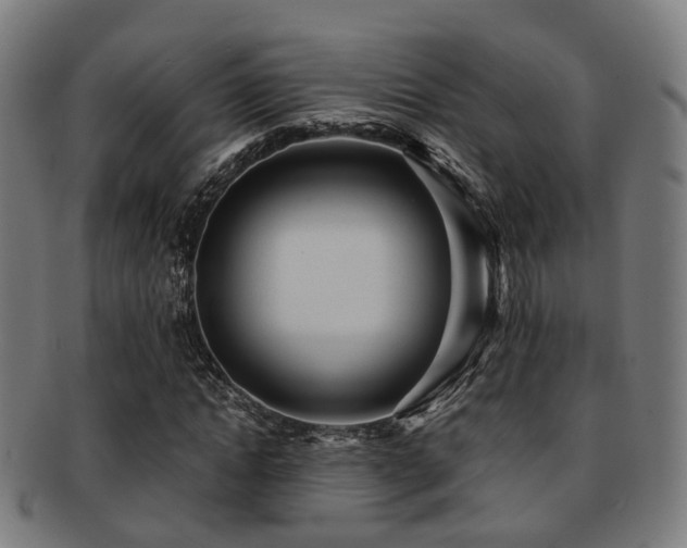 X0000091900822200709051401