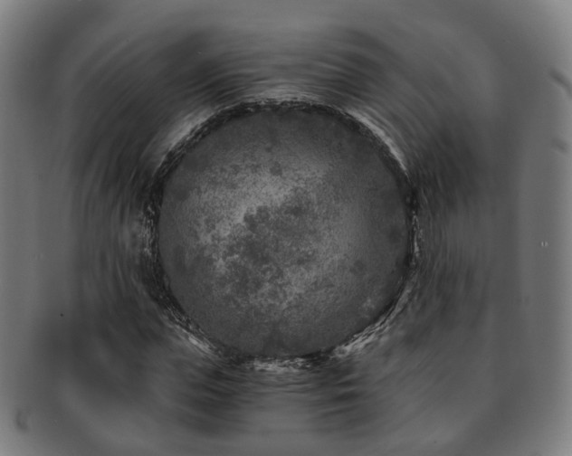 X0000091900823200709051401