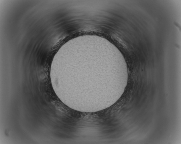 X0000091900824200709051401