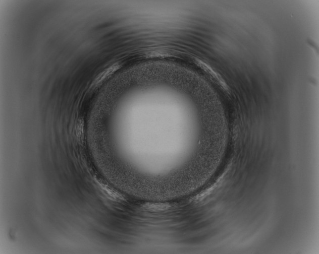 X0000091900825200709051401
