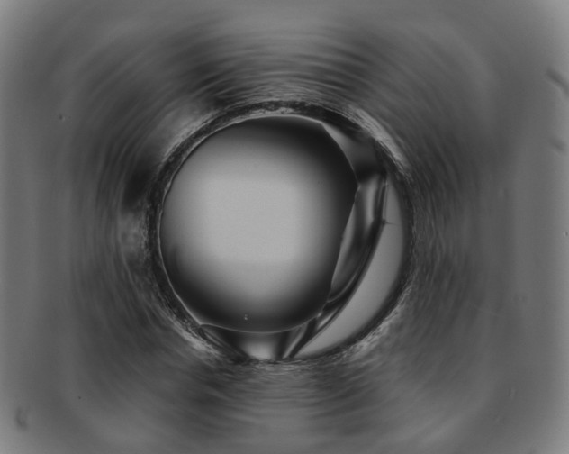 X0000091900826200709051401