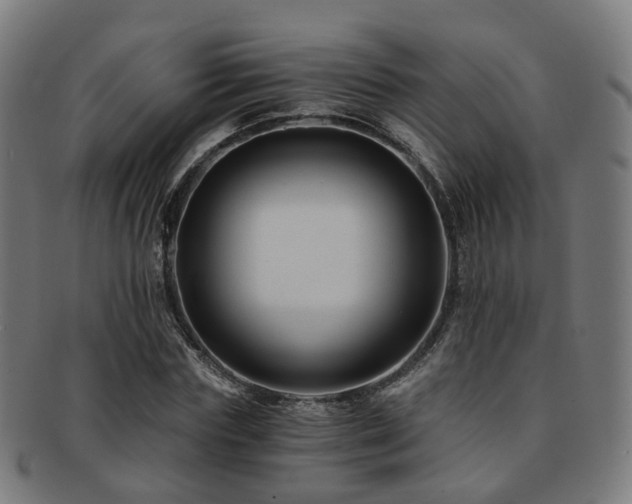 X0000091900827200709051401