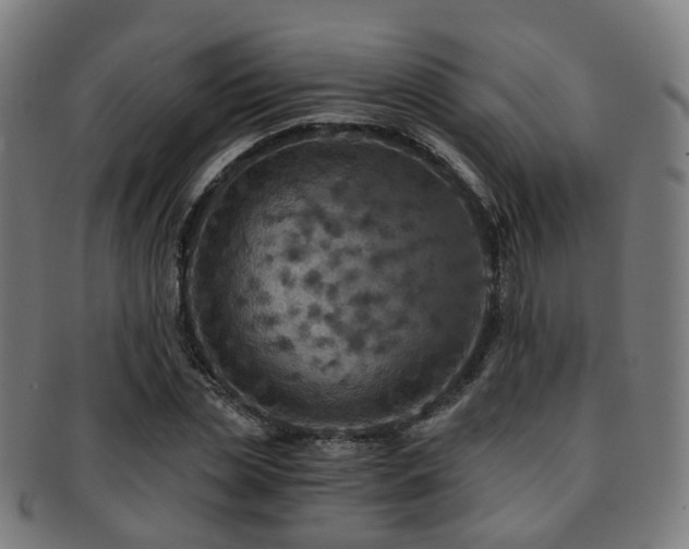 X0000091900829200709051401