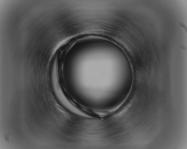 X0000091900830200709051401