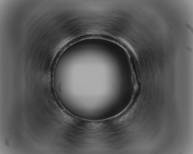 X0000091900831200709051401