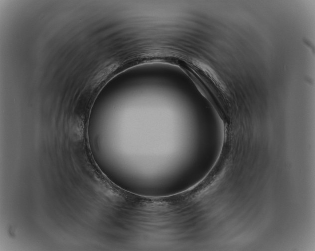 X0000091900833200709051401