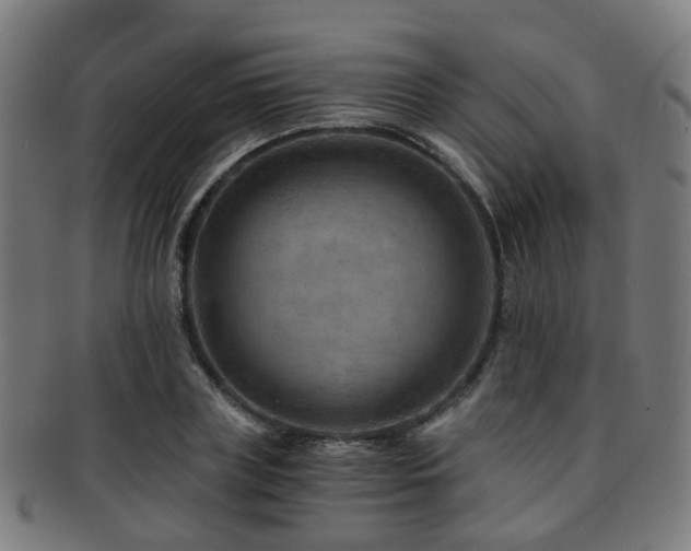 X0000091900835200709051401