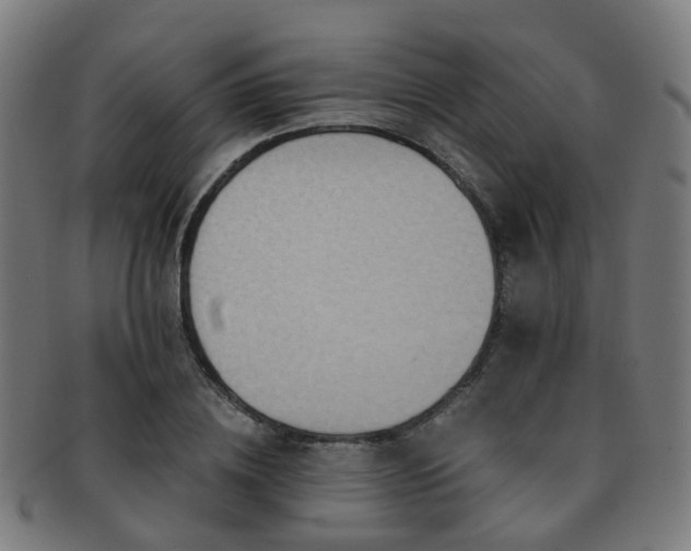 X0000091900836200709051401