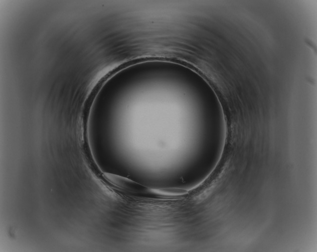 X0000091900838200709051401