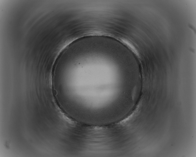 X0000091900839200709051401