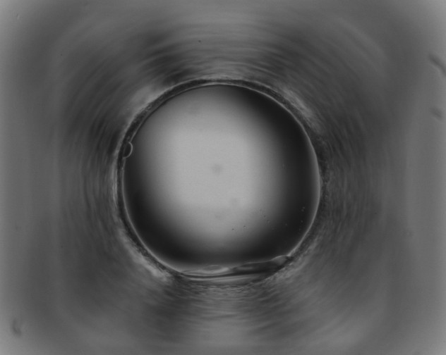 X0000091900840200709051401