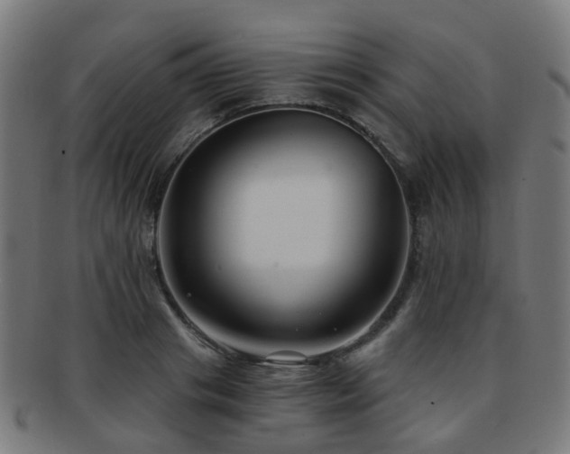 X0000091900841200709051401
