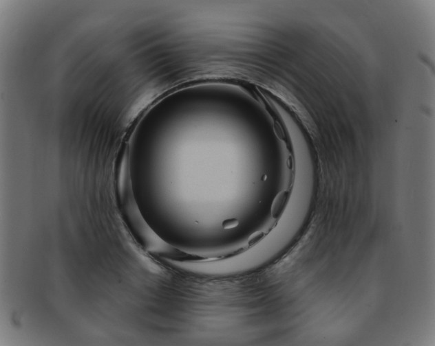 X0000091900842200709051401