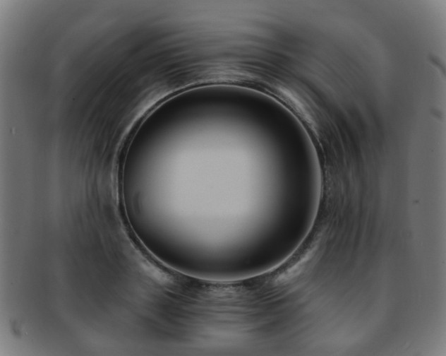X0000091900843200709051401