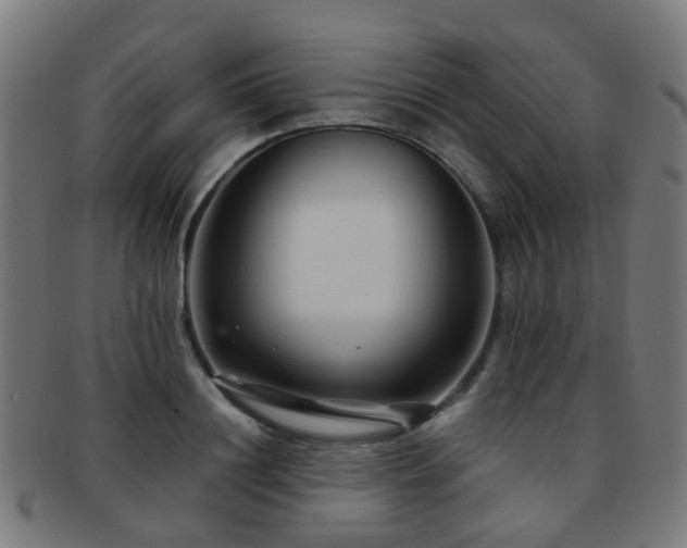 X0000091900844200709051401