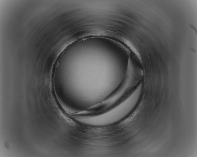 X0000091900845200709051401
