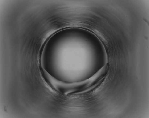 X0000091900846200709051401