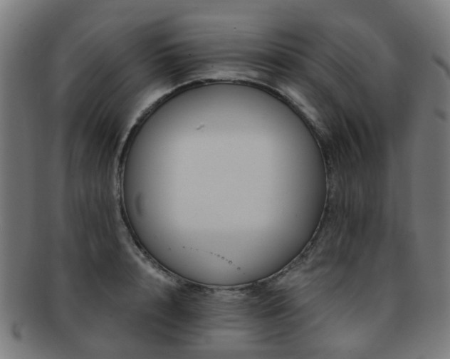 X0000091900848200709051401