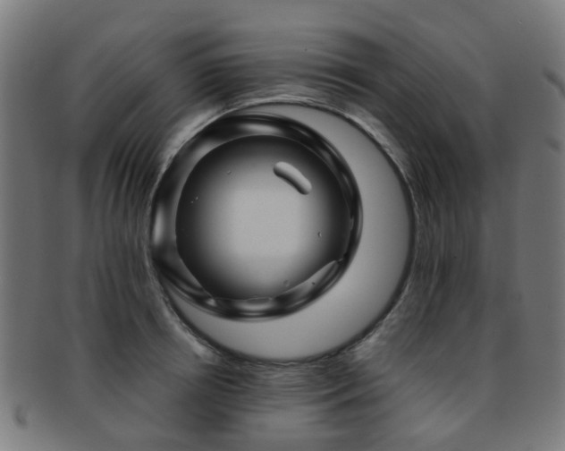 X0000091900850200709051401