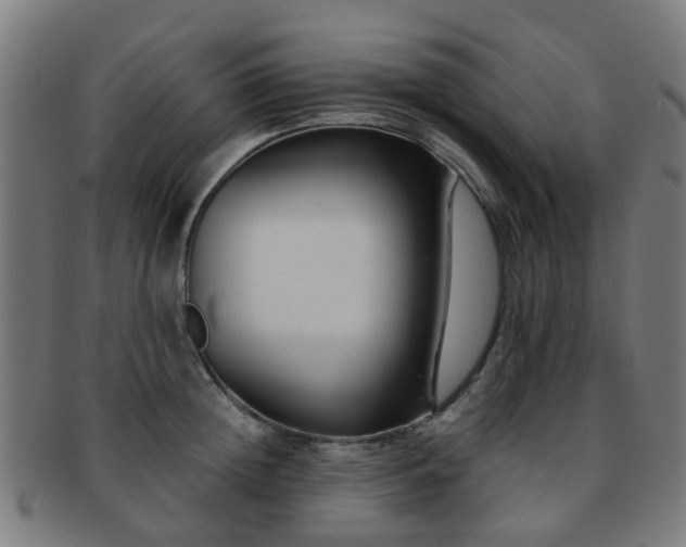 X0000091900852200709051401