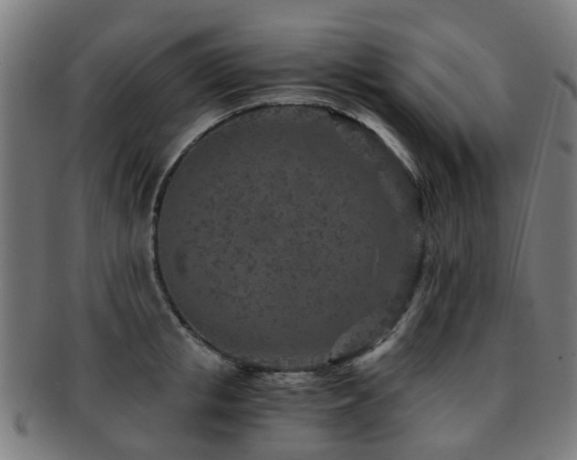 X0000091900853200709051401