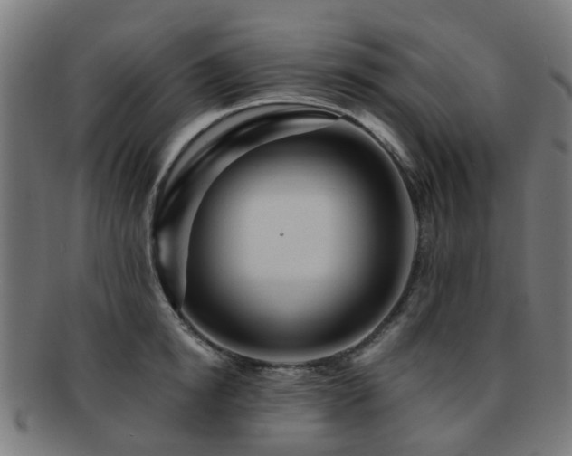 X0000091900854200709051401