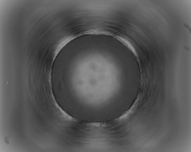 X0000091900855200709051401