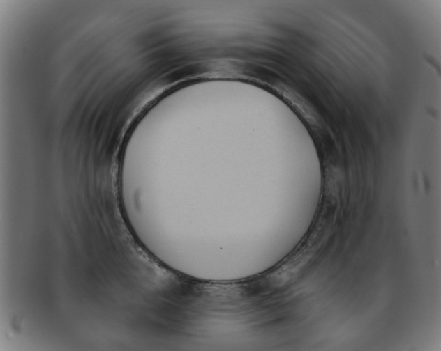 X0000091900856200709051401
