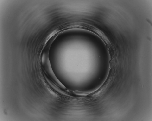 X0000091900858200709051401