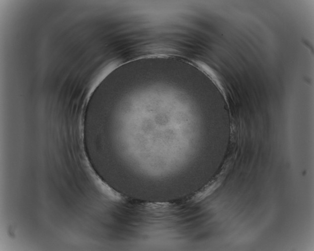 X0000091900859200709051401