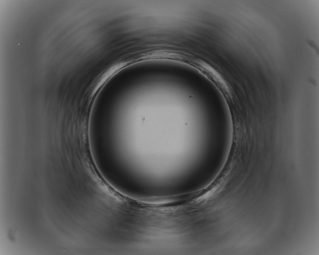 X0000091900860200709051402